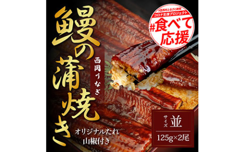 KGP024　緊急支援 人気惣菜 本気の高知ブランド鰻「西岡うなぎ」～並（並サイズ）～うなぎの蒲焼き2尾セット（約250g）タレ・山椒付き｜ウナギ 国産 特産品 高知県産 土佐 食べて応援 蒲焼 焼きたて 丼 うな重 ひつまぶし〈田野町共通返礼品〉 168004 - 高知県芸西村