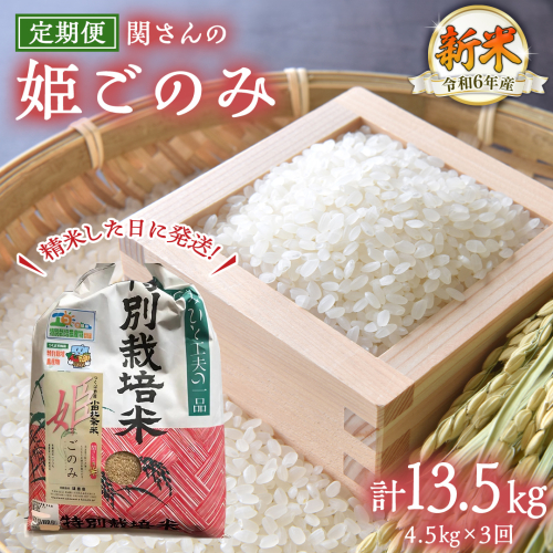 【 定期便 3ヶ月 連続 】【精米日出荷】 令和6年産 関さん「姫ごのみ」 4.5kg 新鮮 米 特別栽培農産物 認定米 お米 白米 精米 ひめごのみ 令和6年産 新米 1680050 - 茨城県牛久市