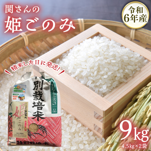 【精米日出荷】みずほの村市場牛久店 関さんの「 姫ごのみ 」4.5kg×2袋 新鮮 米 特別栽培農産物 認定米 お米 白米 精米 ひめごのみ 令和6年産 1680053 - 茨城県牛久市