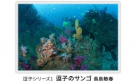 写真家長島敏春　オリジナルプリント「逗子シリーズ1　逗子のサンゴ」フレーム付き