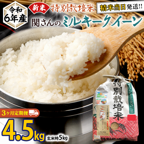 【 定期便 3ヶ月 連続 】《 特別栽培米 》令和6年産 精米日出荷 関さんの「 ミルキークイーン 」4.5kg ( 玄米時 5kg )  新鮮 米 特別栽培農産物 認定米 お米 白米 精米 ミルキークイーン 令和6年産 新米 1680560 - 茨城県牛久市