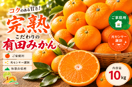 ＼光センサー選別／こだわりの完熟有田みかん 10kg＋150g(傷み補償分) 【ご家庭用】サイズ混合 有機質肥料100%｜ ふるさと納税 みかん 168063 - 和歌山県美浜町