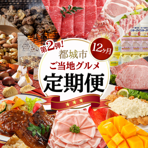 【セレクト定期便】第2弾☆都城市ご当地グルメ定期便(12ヶ月)≪2026年お届け≫_T175-MY01 1682255 - 宮崎県都城市