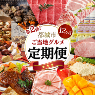 【セレクト定期便】第2弾☆都城市ご当地グルメ定期便(12ヶ月)≪2026年お届け≫_T175-MY01