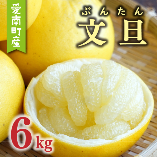 数量限定 先行予約 文旦 6kg 10000円 ぶんたん みかん mikan 蜜柑 ミカン 産地直送 国産 農家直送 期間限定 特産品 ゼリー ジュース アイス 等に 人気 限定 甘い 果実 果肉 フルーツ 果物 柑橘 おいしい 美味しい ジューシー サイズ ミックス あいなんマザーズ 愛南町 愛媛県 1682256 - 愛媛県愛南町