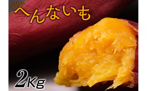 『へんないも屋』一口サイズの熟成焼き芋2kg（シルクスイート使用） 168257 - 滋賀県湖南市