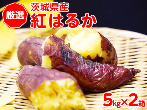 【厳選】茨城県産　紅はるか　10ｋｇ（5ｋｇ×２箱） ※離島への配送不可 ※着日指定不可 | さつまいも 薩摩芋 サツマイモ 10キロ 紅はるか 野菜 おやつ スイーツ 国産 ギフト 贈答 贈り物 プレゼント 茨城県 古河市 直送 農家直送 産地直送 送料無料 _CM01 168343 - 茨城県古河市