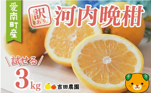 数量限定 先行予約 訳あり 河内晩柑 3kg 5000円 お試し用 みかん わけあり かわちばんかん 愛南ゴールド あいなん ゴールド 夏 文旦 グレープフルーツ 和製 家庭用 少量 お試し 産地直送 国産 農家直送 期間限定 数量限定 ビタミン 健康 おいしい 特産品 ゼリー ジュース 人気 限定 さわやか 甘い フルーツ 果物 柑橘 mikan 蜜柑 ミカン 規格外 吉田農園 愛南町 愛媛県 1683483 - 愛媛県愛南町