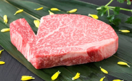 熊本県産 黒毛和牛 ヒレステーキ 200g 国産 熊本 和牛 牛肉 牛 ヒレ ステーキ 肉 お肉 冷凍