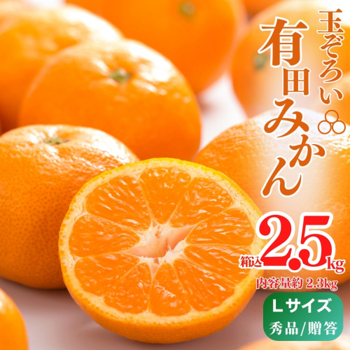 MK1006_【2025年先行予約】みかん Ｌサイズ 秀品 箱込 2.5kg ( 内容量 2.3kg ) 有田みかん 和歌山県産 産地直送 贈答用 【みかんの会】 1685523 - 和歌山県湯浅町