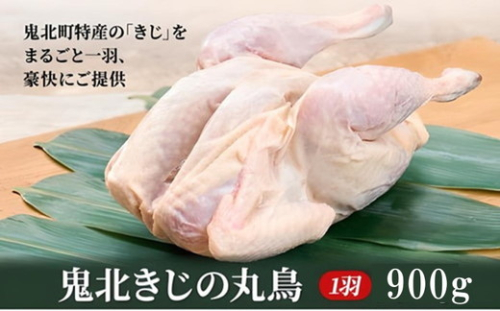 鬼北熟成きじ肉　丸鶏一羽 900g ｜ キジ肉 雉 キジ ジビエ とり 鶏肉 団らん ムネ モモ ササミ 秋 冬 熟成 お取り寄せ 加工品 贈答 おうちごはん 愛媛県 鬼北町※離島への配送不可 ※2024年12月より順次発送予定 1685531 - 愛媛県鬼北町