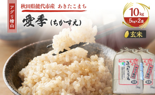 令和7年産 アグリ檜山米 愛季(ちかすえ) 玄米 10kg ( 5kg × 2袋 ) あきたこまち お米 おこめ こめ コメ ごはん ご飯 大粒 令和7年  秋田 秋田県 能代市 1685629 - 秋田県能代市