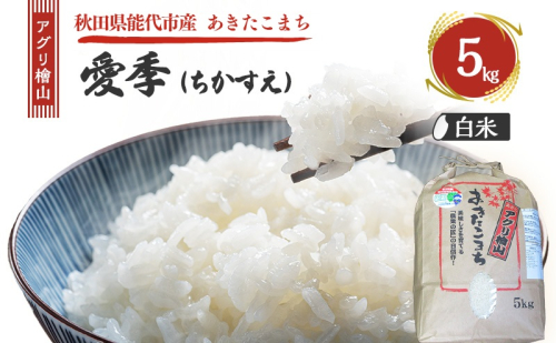 令和7年産 新米 アグリ檜山米 愛季(ちかすえ) 白米 5kg  あきたこまち  精米 お米 おこめ こめ コメ ごはん ご飯 大粒 令和7年  秋田 秋田県 能代市 1685631 - 秋田県能代市