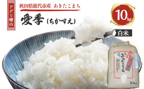 令和7年産 新米 アグリ檜山米 愛季(ちかすえ) 白米 10kg  あきたこまち  精米 お米 おこめ こめ コメ ごはん ご飯 大粒 令和7年  秋田 秋田県 能代市 1685632 - 秋田県能代市