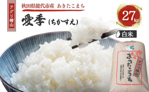 令和7年産 アグリ檜山米 愛季(ちかすえ) 白米 27kg あきたこまち  精米 お米 おこめ こめ コメ ごはん ご飯 大粒 令和7年  秋田 秋田県 能代市 1685634 - 秋田県能代市