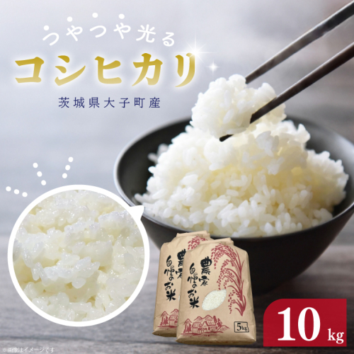 【 令和7年産】つやつや光るコシヒカリ 10kg 菊池農園｜茨城県 大子町 お米 白米 精米 産地直送 米 もちもち（CL002-1） 1685822 - 茨城県大子町