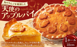 薩摩川内市に以前あった高校の文化祭限定で販売されていたアップルパイ。当時は文化祭の前日から購入する列ができるほど大人気。幼少の頃は、これを食べることがとても幸せでした。現在は閉校になってしまい、食べる