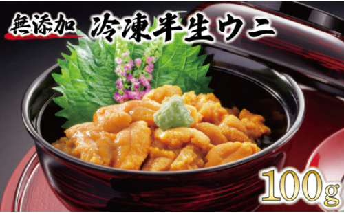 半生うに 100g 冷凍 うに キタムラサキウニ ミョウバン不使用 無添加 ウニ 雲丹 海鮮 三陸 岩手県 大船渡市