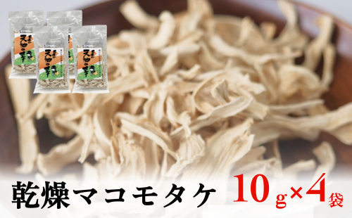 乾燥マコモタケ 10g×4袋 富山県 氷見市 まこもタケ 野菜 乾燥 保存 1687772 - 富山県氷見市