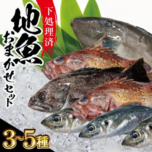 SB0522　地魚おまかせセット(下処理済)　計1kg以上(3～5種類入)
 1687773 - 山形県酒田市