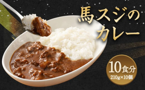 馬スジのカレー 10食 セット 210g×10 計2.1kg カレー 1688717 - 熊本県益城町