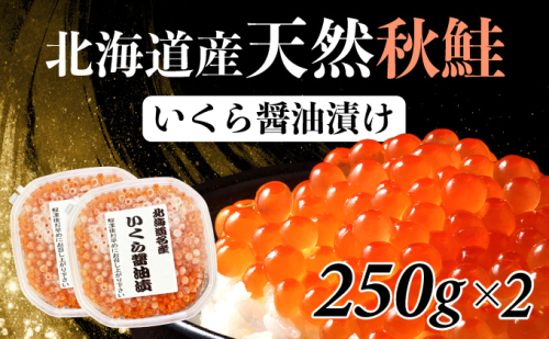 北海道産 天然秋鮭 いくら醤油漬け 500g（250g×2） 1689090 - 北海道登別市