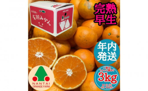 年内発送 ちょっと 傷あり 完熟早生 有田みかん M ～ SS サイズ 3kg 和歌山 南泰園 みかん 1689440 - 和歌山県有田川町