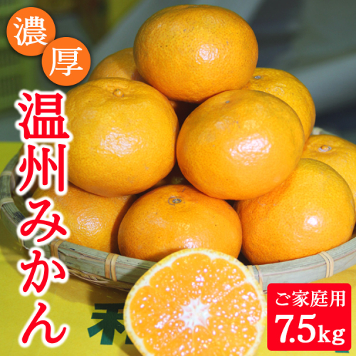 濃厚温州みかんご家庭用7.5kg（和歌山天田みかん）◆ みかんの産地和歌山　北村農園直送 ※2025年12月上旬頃より順次発送予定 1690381 - 和歌山県美浜町