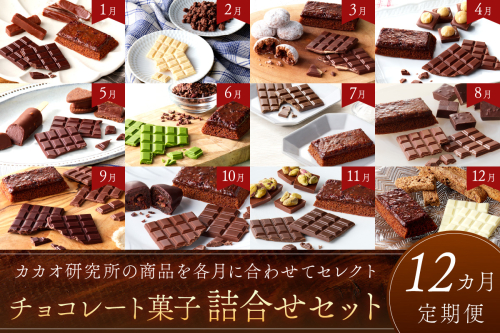 カカオ研究所 チョコレート菓子詰合せセット【12カ月定期便】【J17-001】 1690747 - 福岡県飯塚市