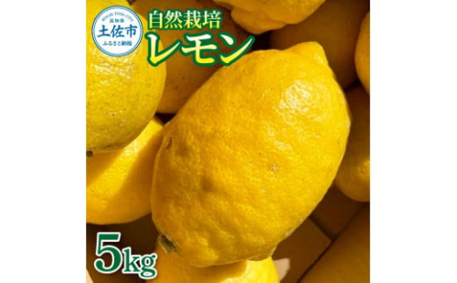 自然栽培レモン5kg 1691681 - 高知県土佐市