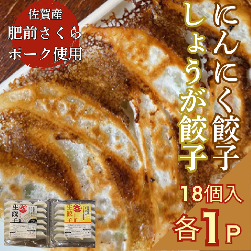 佐賀産「肥前さくらポーク」を100％使用した餃子2Pセット（合計36個）：B125-025 1692935 - 佐賀県佐賀市