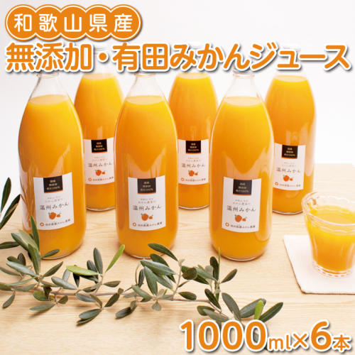 無添加・有田みかん100%ストレートジュース1000ml×6本◇
※着日指定不可
※北海道・沖縄・離島への配送不可 169405 - 和歌山県美浜町