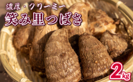 先行予約 里芋 2kg 笑み里つばさ さといも 煮物 産地直送 国産 農家直送 期間限定 数量限定 人気 限定 野菜 根菜 高橋農園  新潟県 新発田市 takahashi003