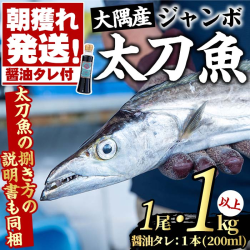 【25832】鮮度が命！鮮魚問屋が厳選した大隅のジャンボ太刀魚とオリジナル醤油タレセット(1尾・1kg以上、醤油タレ1本)【江川商店】 169541 - 鹿児島県東串良町