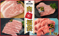 牛肉 福袋 3万円コース 黒毛和牛 A5等級 阿波華牛 和牛 ぎゅうにく 牛 ぎゅう うし 肉 ビーフ 赤身 ロース 肩 モモ すき焼き すきやき しゃぶしゃぶ 焼肉 牛丼 カレー シチュー BBQ アウトドア キャンプ ギフト プレゼント 贈答 お取り寄せ グルメ おかず 惣菜 おつまみ 弁当 日用 冷凍 小分け 送料無料 徳島県 阿波市 肉の北海