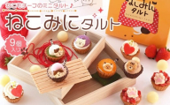 ねこみにタルト 9個入（秋・冬バージョン）【洋菓子 ケーキ タルト スイーツ チョコ だいふく 大福 いちご 生クリーム クリーム セット商品 詰合せ 岡山県 おすすめ 人気 】