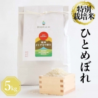 【令和5年産】　特別栽培米　ひとめぼれ　5kg