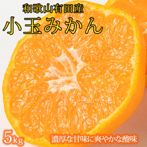 有田の小玉みかん5kg(S～3Sサイズ混合)※2025年11月下旬〜2026年1月下旬頃に順次発送予定 1697926 - 和歌山県美浜町