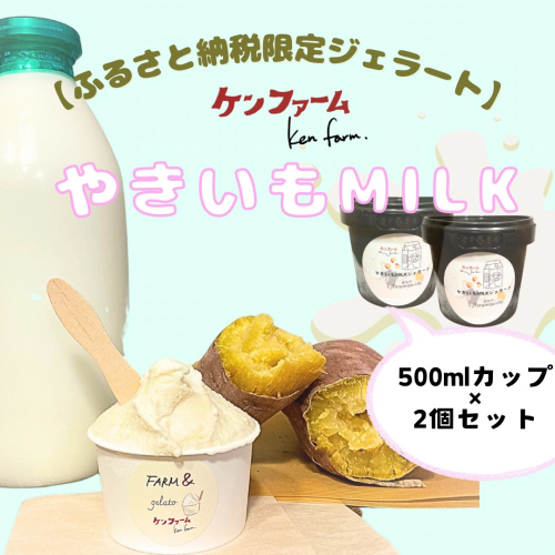 A1-7003／【ふるさと納税限定品】やきいもMILK アイスクリーム　500ml×2個 1697930 - 鹿児島県垂水市