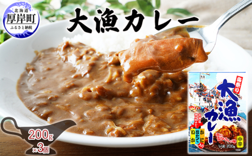 大漁カレー 200g×3個 カレー レトルト 1697935 - 北海道厚岸町