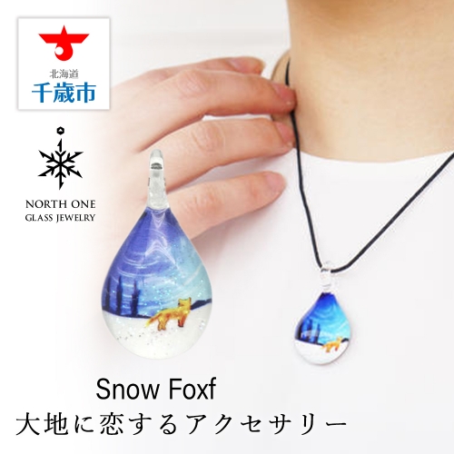 Snow Fox [NDM-B-105] 169812 - 北海道千歳市