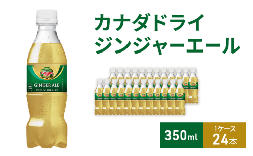 カナダドライ ジンジャーエール 350ml 1ケース 24本 ペットボトル 1698159 - 兵庫県明石市