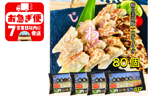 A1-0419/鹿児島県産桜島美湯豚 一口餃子 80個(20個×4パック) 1698395 - 鹿児島県垂水市