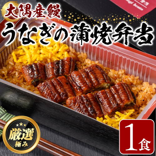 【0085705a】＜おためし＞大隅産鰻の冷凍弁当(冷凍品)(1食分・計240g タレ、山椒付) うなぎ 高級 ウナギ 鰻 うなぎの蒲焼 蒲焼 国産 ごはん ご飯 お米 おかず 鹿児島 ふるさと レンチン 電子レンジ 【南嘉起屋】 1699394 - 鹿児島県東串良町