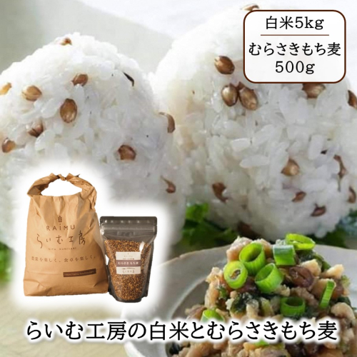 らいむ工房のむらさきもち麦500gと白米5kg_2506R 1699395 - 大分県国東市