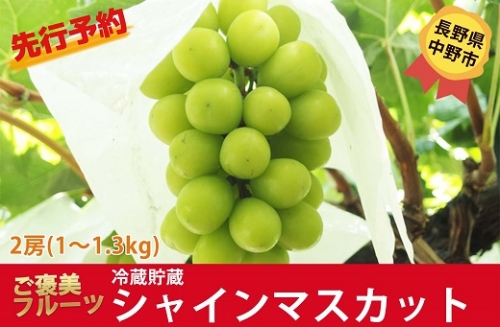 シャインマスカット <冷蔵貯蔵品> 2房 169948 - 長野県中野市
