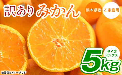 【訳あり】熊本県産 みかん サイズミックス 約5kg 1700387 - 熊本県八代市