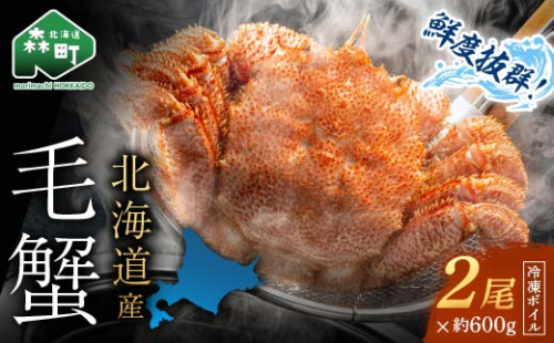 【先行予約】 北海道・噴火湾産冷凍ボイル毛ガニ約600g前後×2尾 毛ガニ 毛カニ 蟹 かに かにみそ 海産物 海鮮 森町 mr1-0770 1700388 - 北海道森町