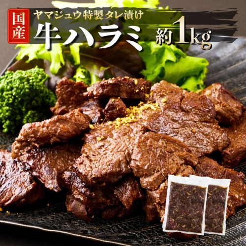 ヤマジュウの特製タレ漬け！和牛ハラミ肉１ｋｇ 170135 - 高知県室戸市
