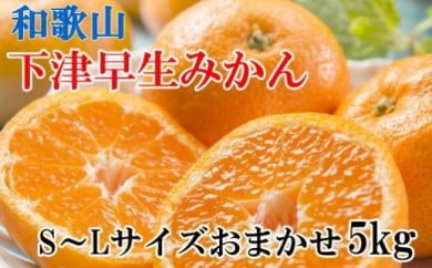 【産直・秀品】和歌山下津みかん約5kg（S～Lサイズおまかせ） ※2025年11月中旬～2026年1月中旬頃に順次発送予定 170174 - 和歌山県美浜町